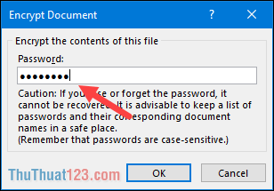 nhập password cho file excel